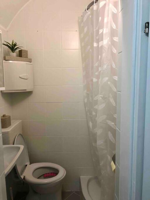 Milena Apartment グラーツ エクステリア 写真