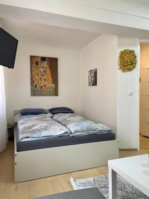 Milena Apartment グラーツ エクステリア 写真