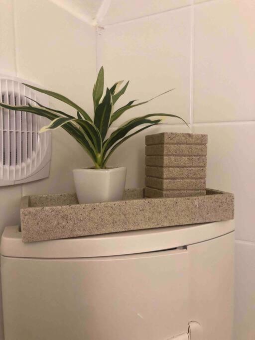 Milena Apartment グラーツ エクステリア 写真
