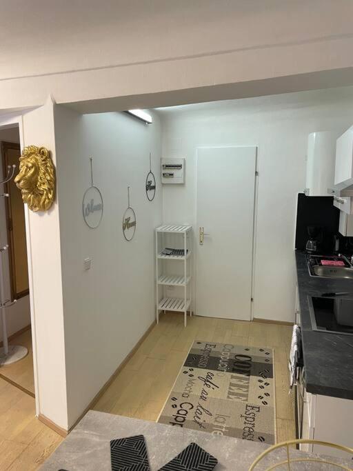 Milena Apartment グラーツ エクステリア 写真